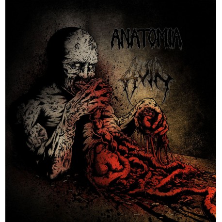 Anatomia / Ruin - Split LP
